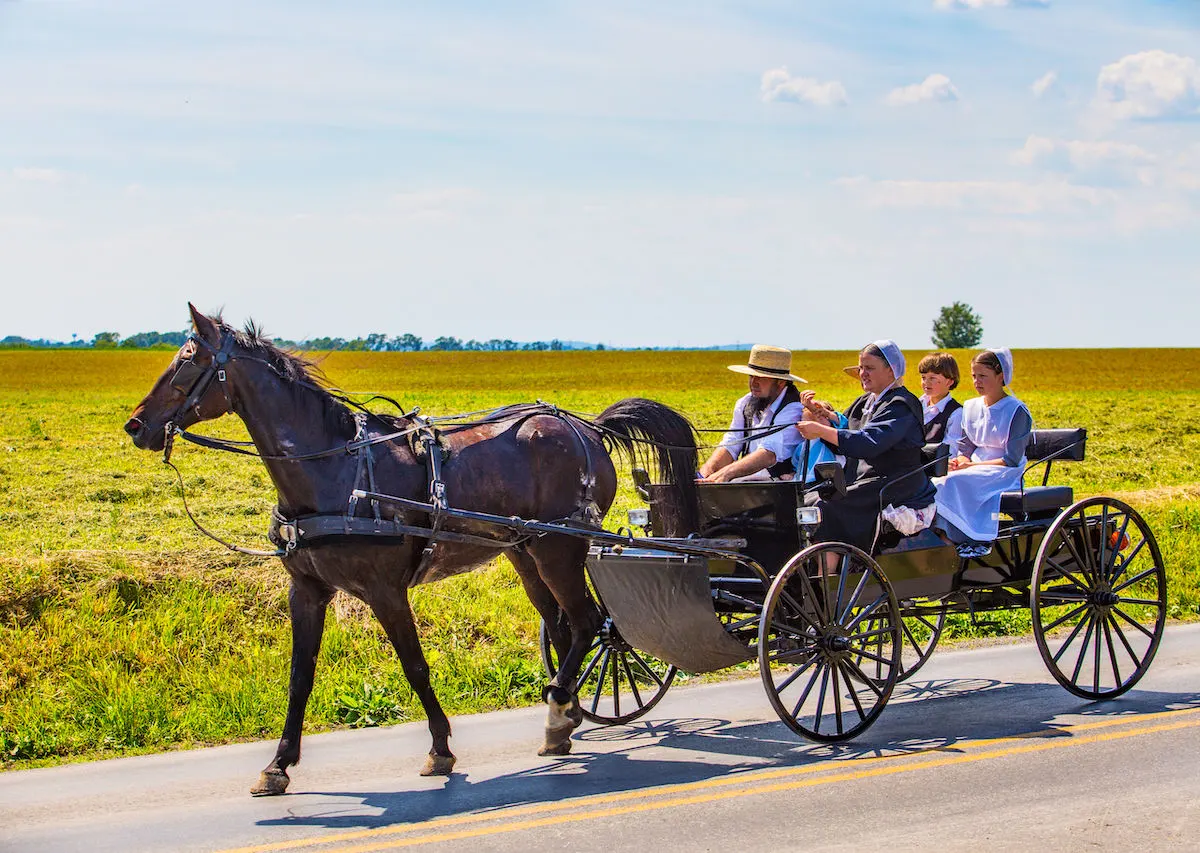 Amish Community Versus Vanity and Worldliness