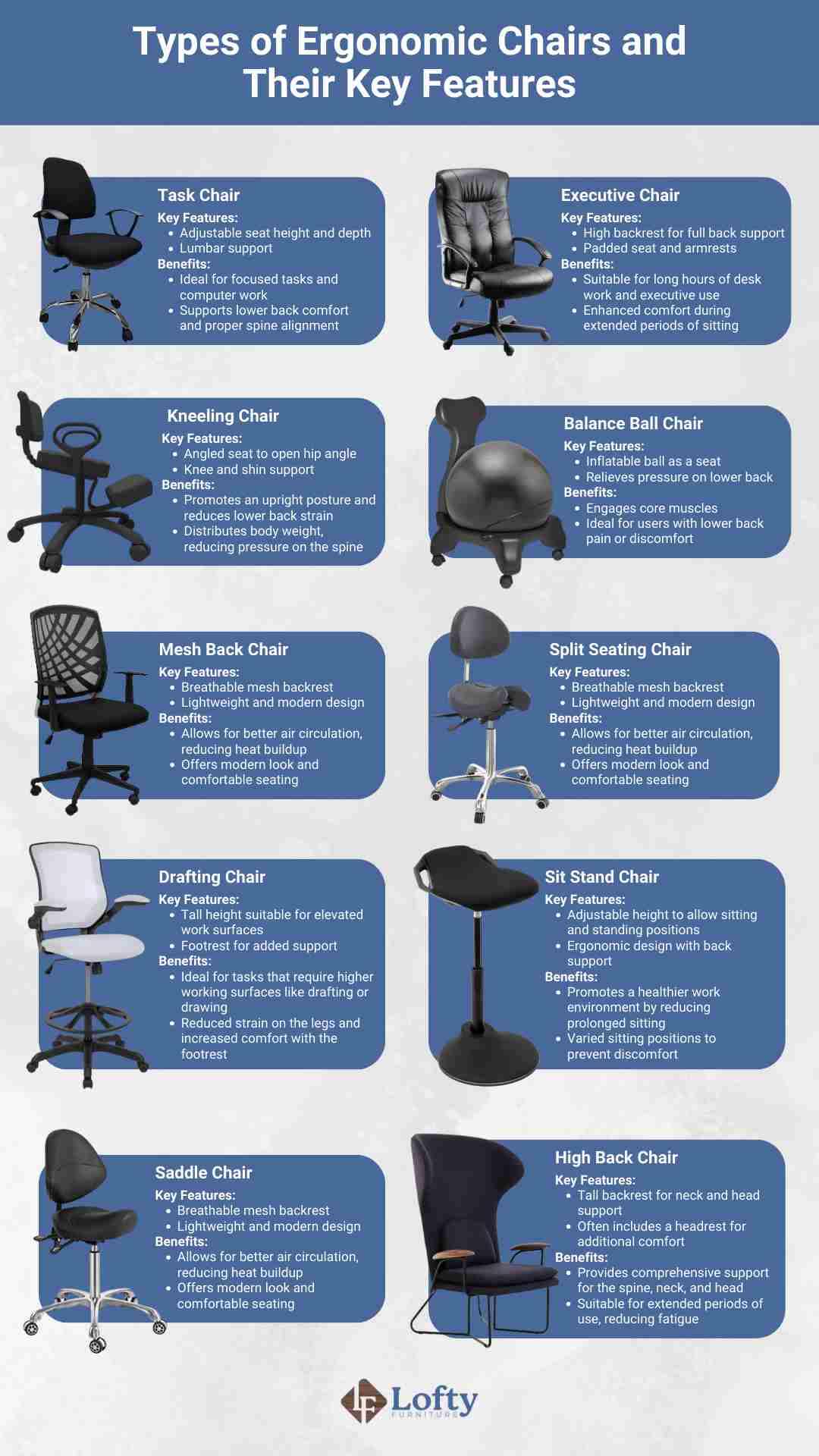 An infographic on the types of ergonomic chairs and their key features. 