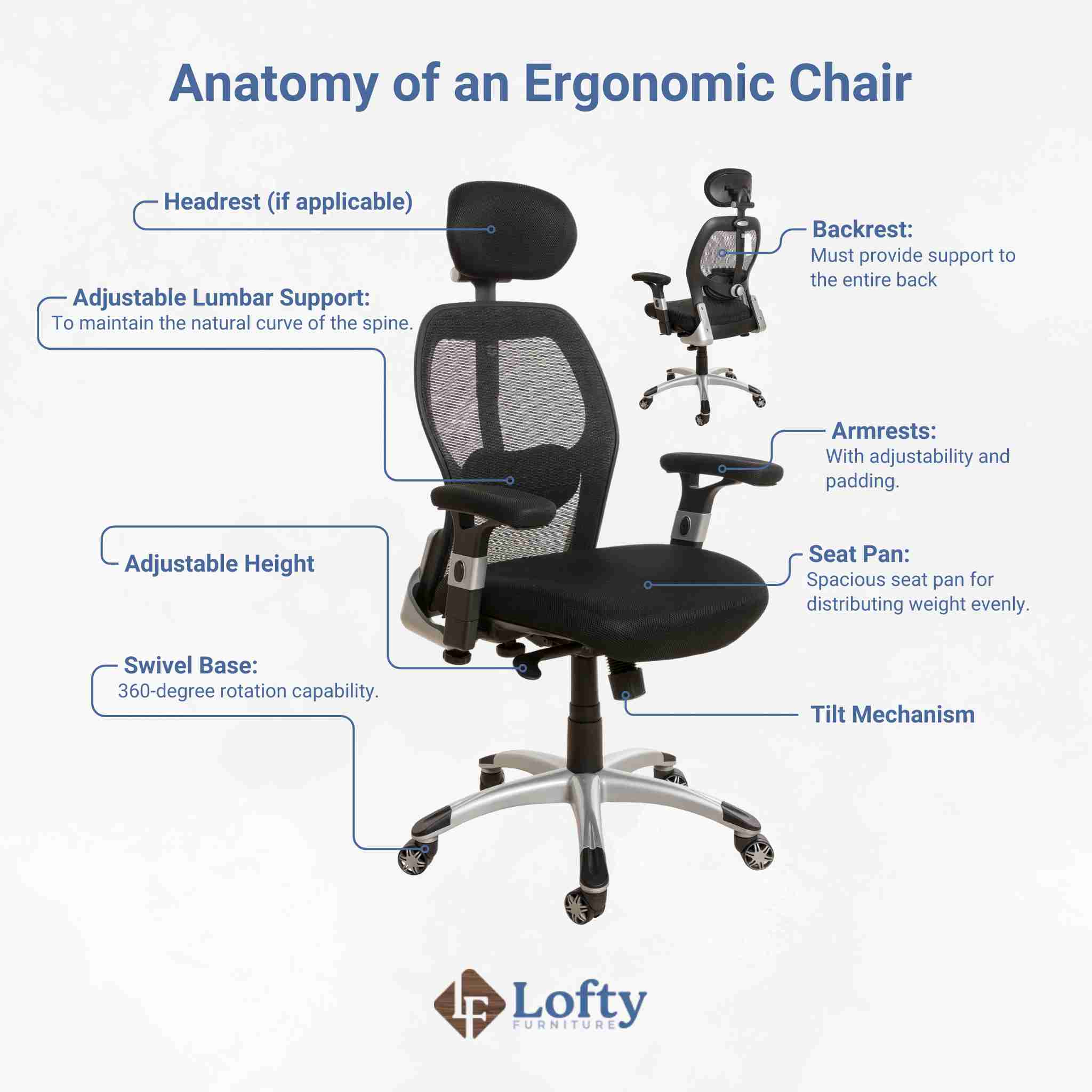 A graphic illustration of the anatomy of an ergonomic chair