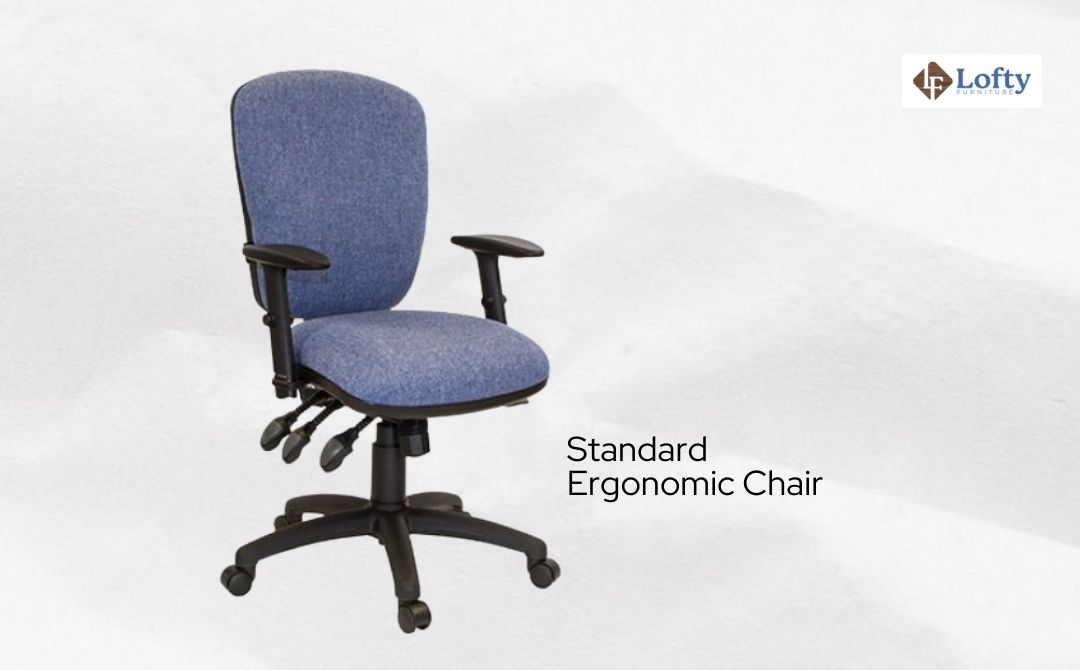 Standard ergonomic chair