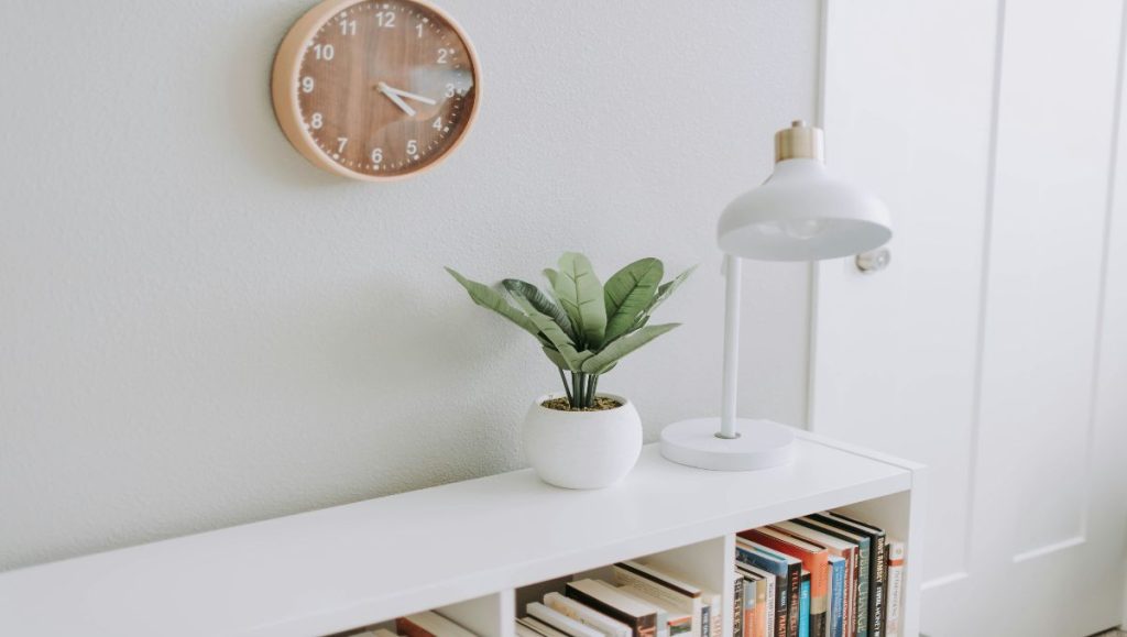 Minimalist storage of books with desk lamp and plant