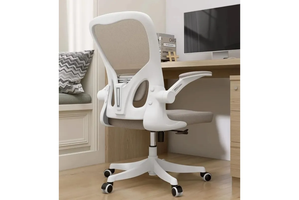 Ergonomic Office Reclining Chair 