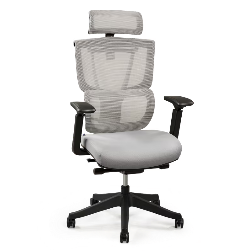 Flexispot C7 Premium Ergonomic Office Chair