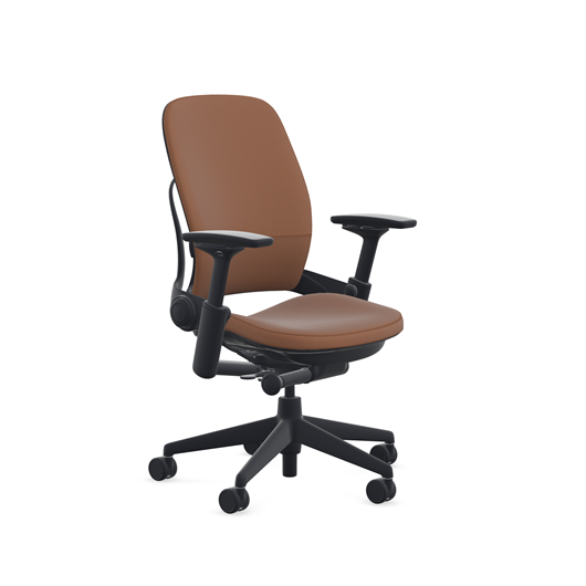 Steelcase Leap Chair