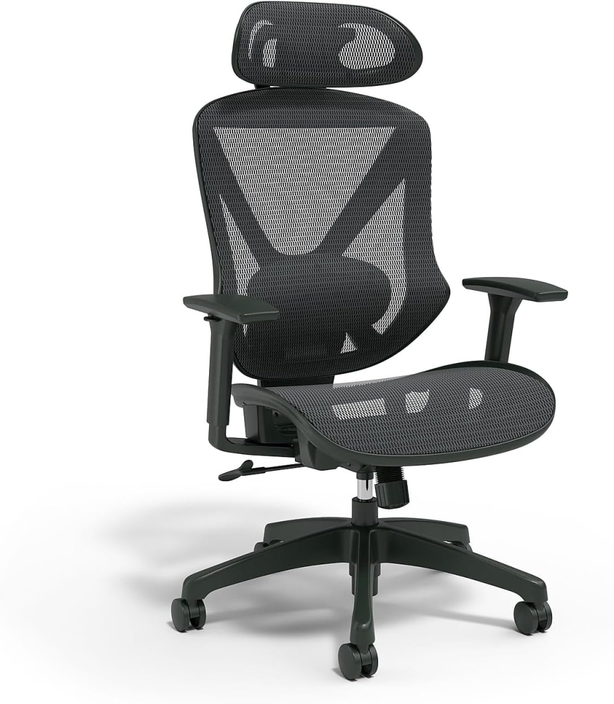 Staples Dexley Ergonomic Mesh Chair