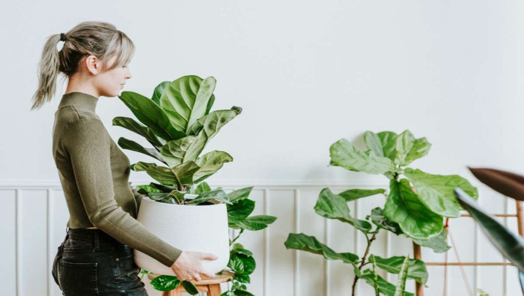 Girl putting biophilic design in the office