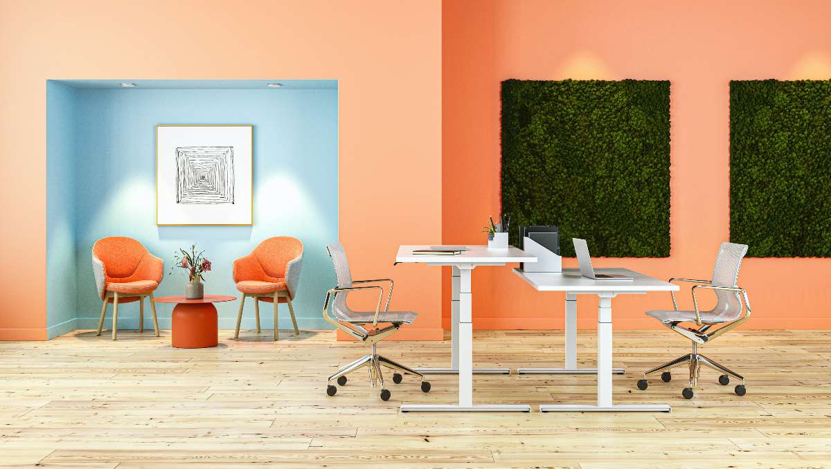 Office setup with ergonomic furniture including standing desk and ergonomic chairs