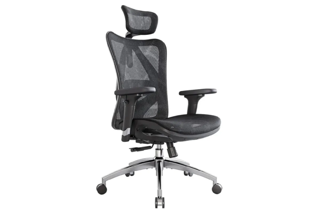 Ergonomic Office Chair with 3-Way Armrests