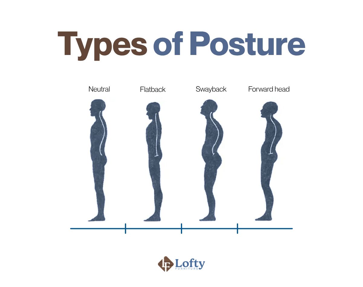 principles of ergonomics Types of Posture