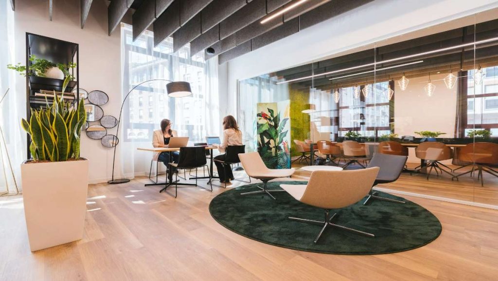 two women working on a shared coworking space
