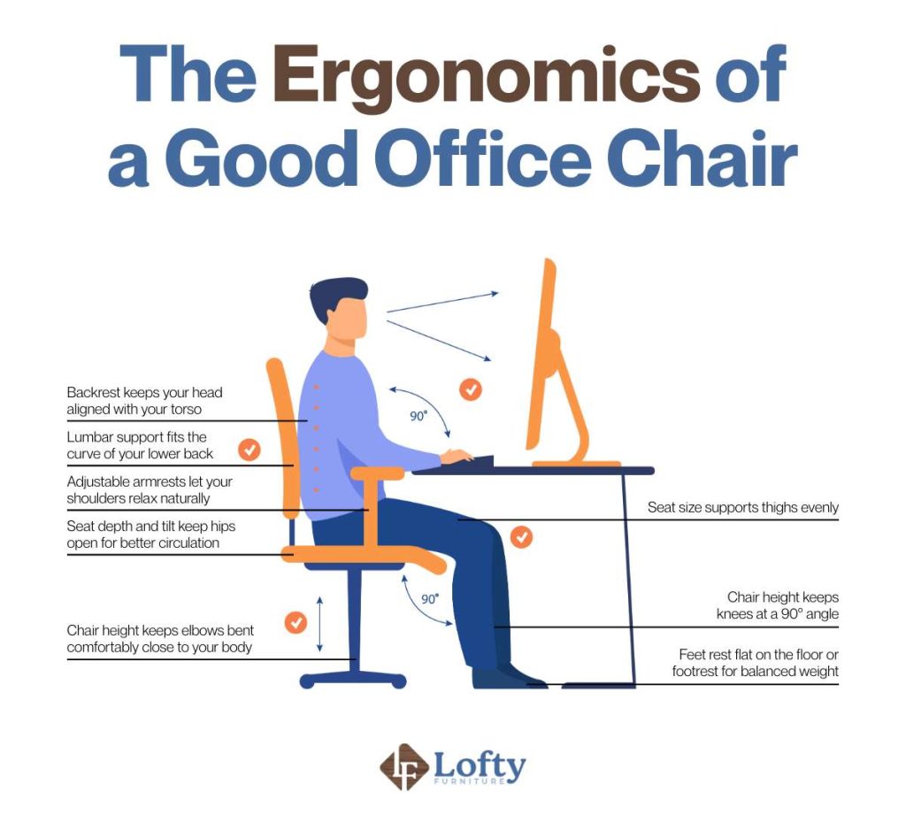 The Ergonomics of a Good Office Chair