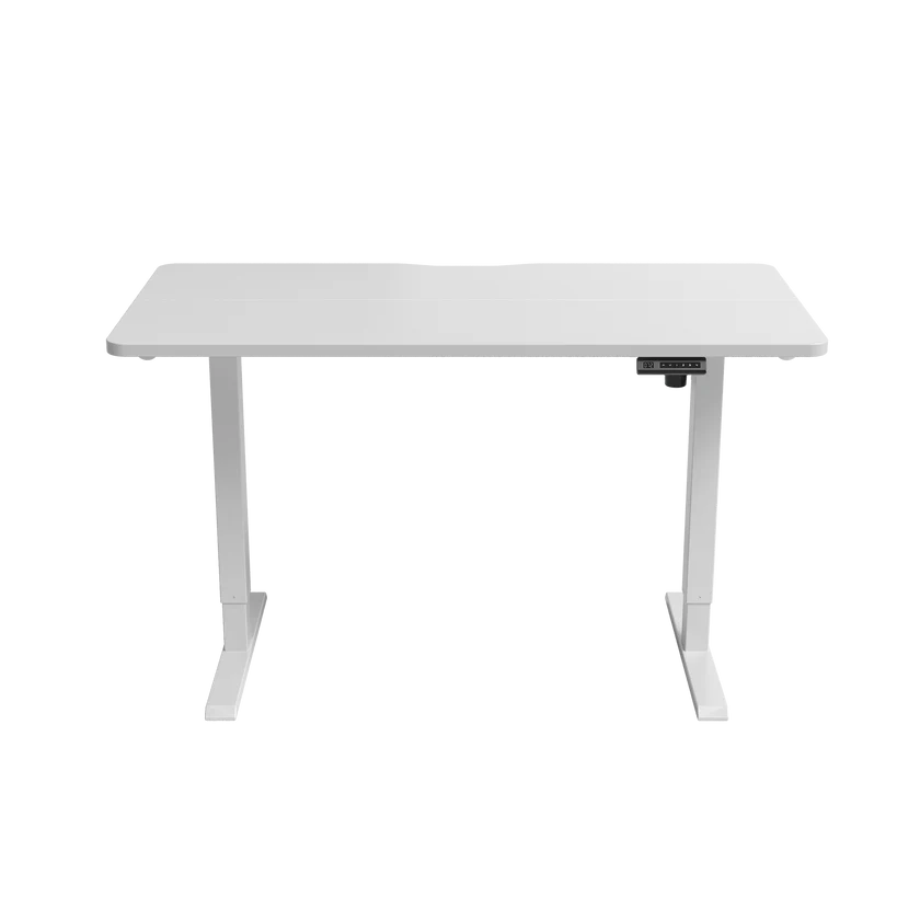 Fezibo Adjustable Standing Desk