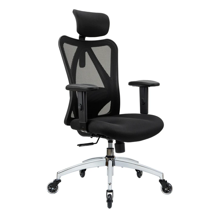 Duramont Ergonomic Adjustable Office Chair