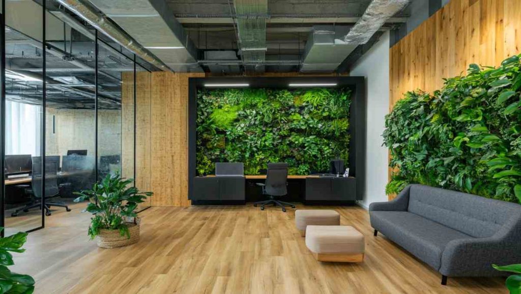 sustainable office furniture Sustainable office including plants indoor