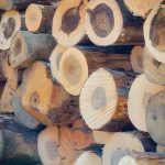 A pile of exotic wood