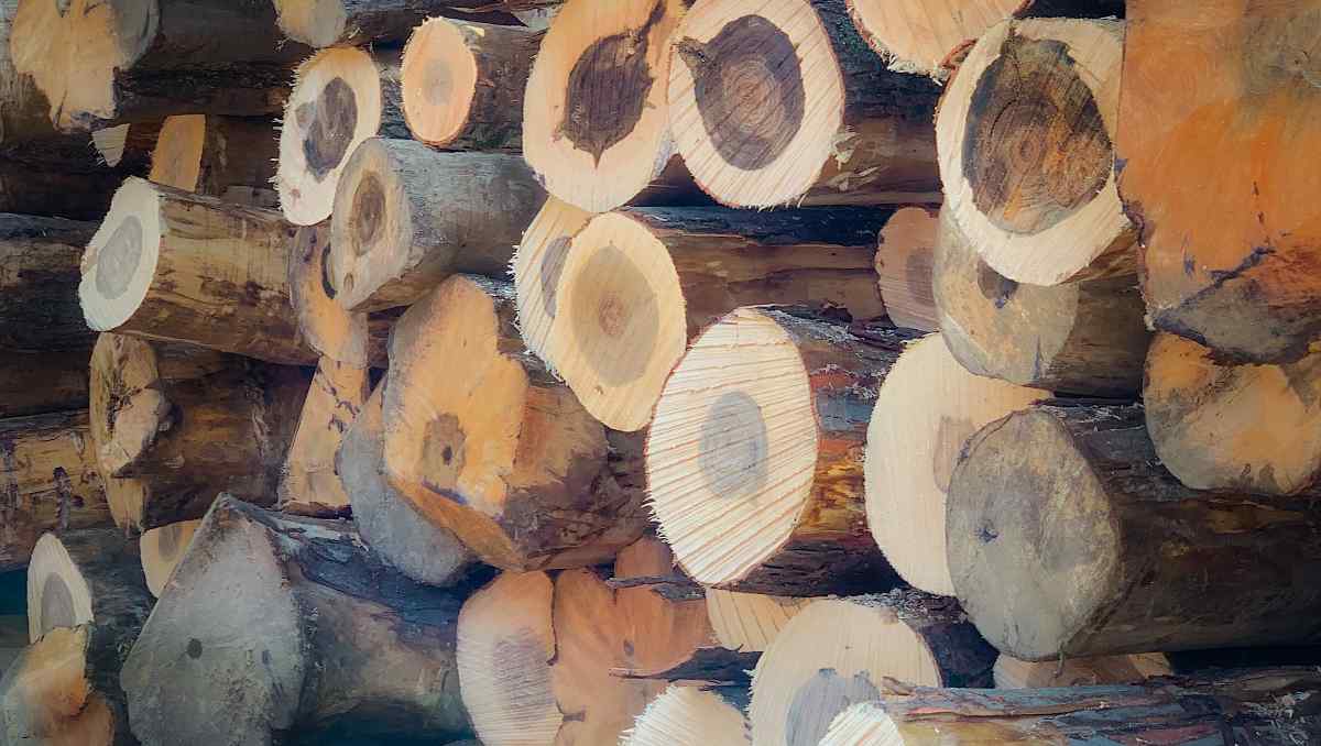 A pile of exotic wood