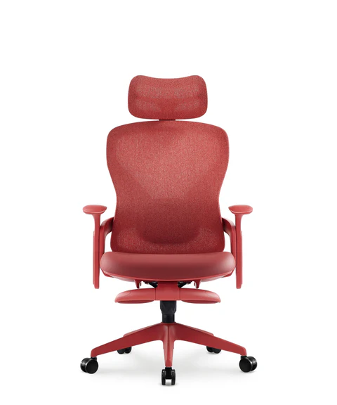 best budget ergonomic chair Aura Ergonomic Chair