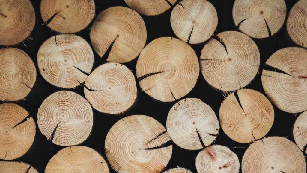 Chopped blocks of wood