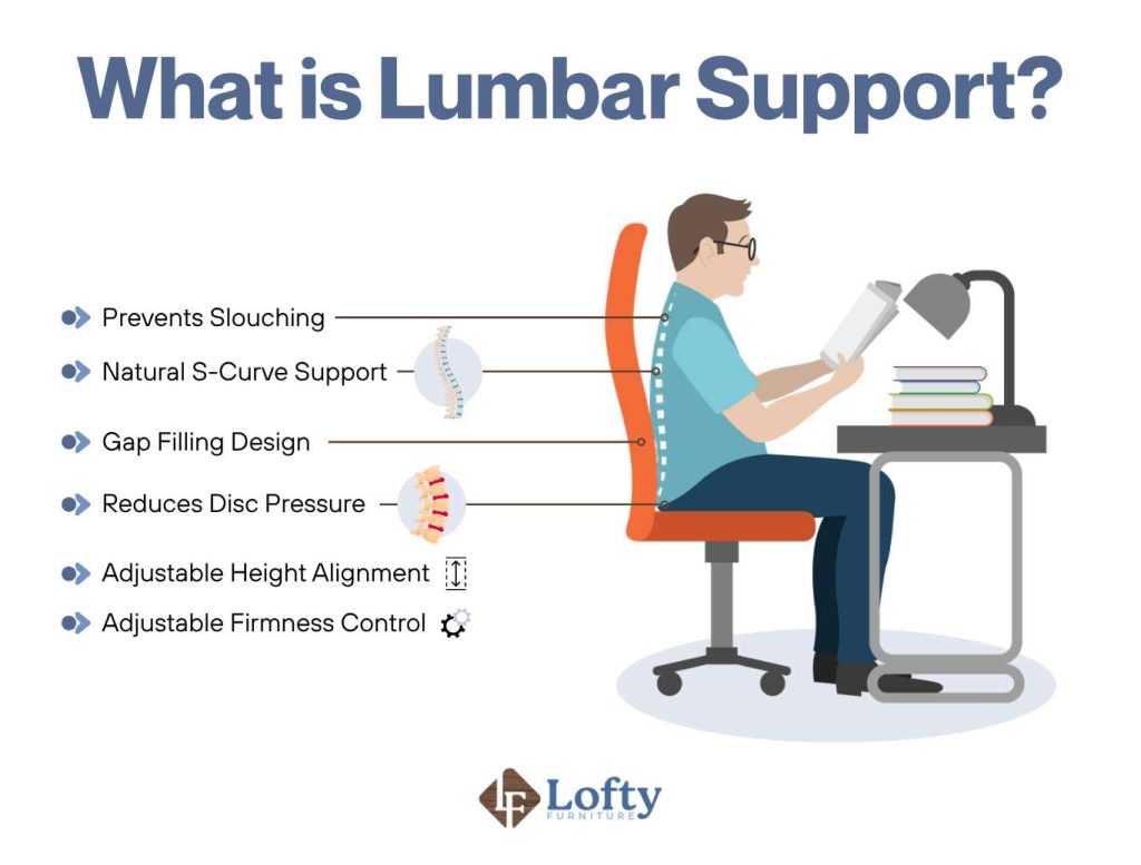 What is Lumbar Support