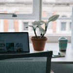 Desk in front of window setup with plants