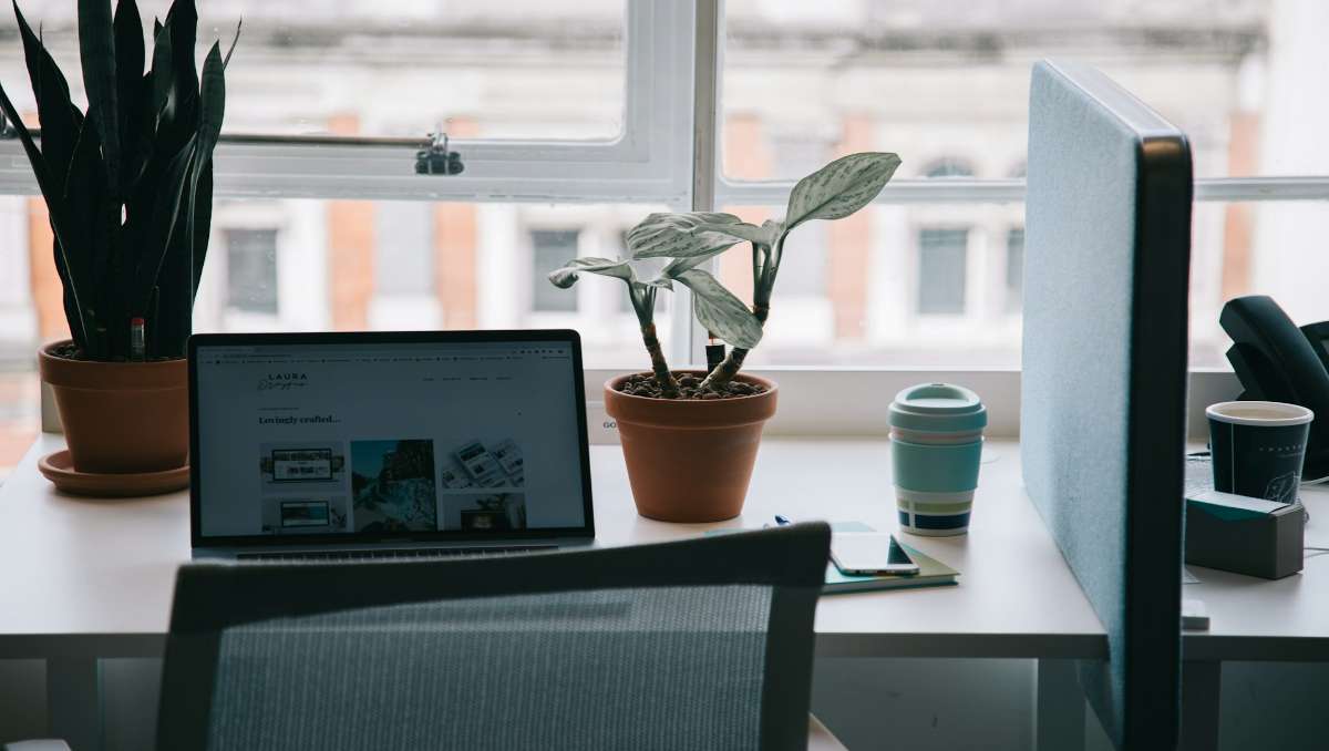 Desk in front of window setup with plants