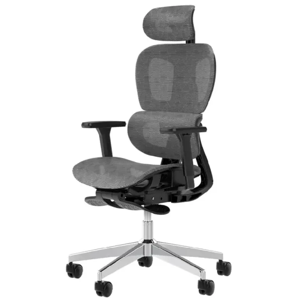 High Back Ergonomic Office Chair with Adjustable Lumbar Support and 3D Armrests