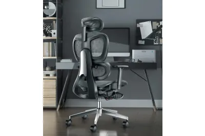 High Back Ergonomic Office Chair with Adjustable Lumbar Support and 3D Armrests