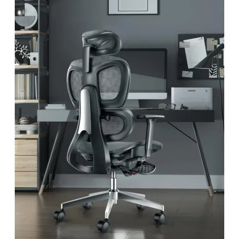 High Back Ergonomic Office Chair with Adjustable Lumbar Support and 3D Armrests High Back Ergonomic Office Chair with Adjustable Lumbar Support and 3D Armrests