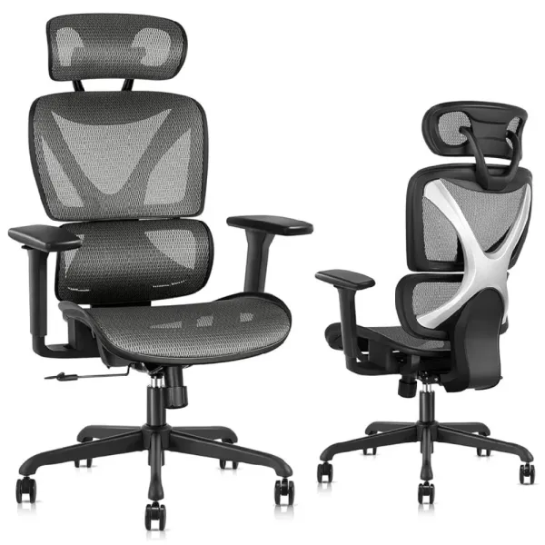 Mesh Desk Chair with Lumbar Support and Adjustable 3D Arms