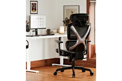 Mesh Desk Chair with Lumbar Support and Adjustable 3D Arms