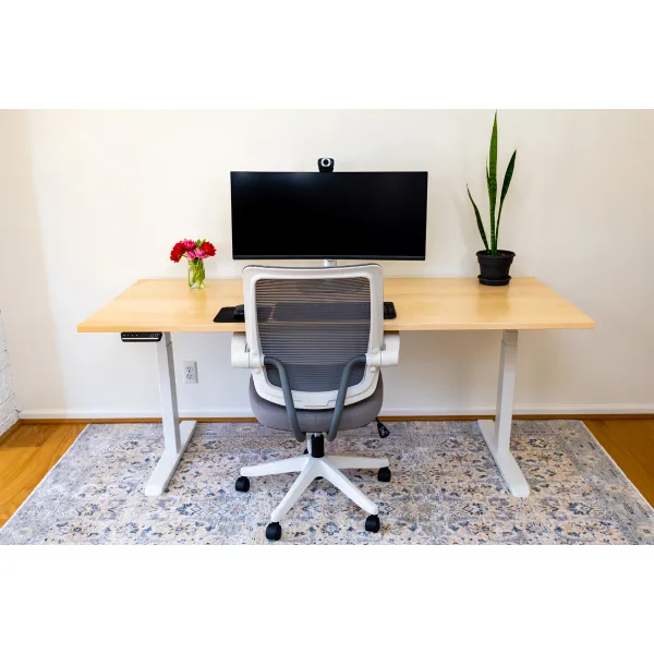 Greystone Minimalist Ergonomic Desk Chair | 4 Points of Adjustability