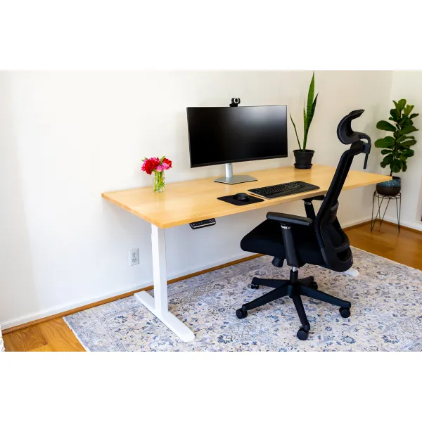 Elevate Ergonomic Office Chair | 9 Adjustable Points