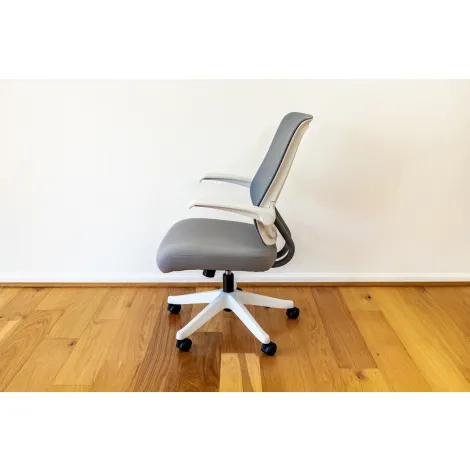 Greystone Minimalist Ergonomic Desk Chair | 4 Points of Adjustability Greystone Minimalist Ergonomic Desk Chair | 4 Points of Adjustability