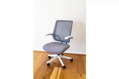 Greystone Minimalist Ergonomic Desk Chair | 4 Points of Adjustability