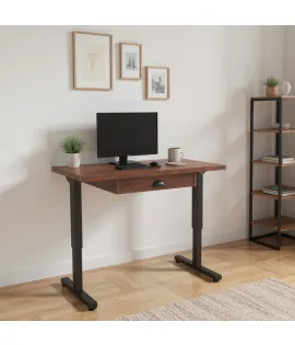 Amish Handmade Alexis Sit Stand Lift Desk  Amish Handmade Alexis Sit Stand Lift Desk