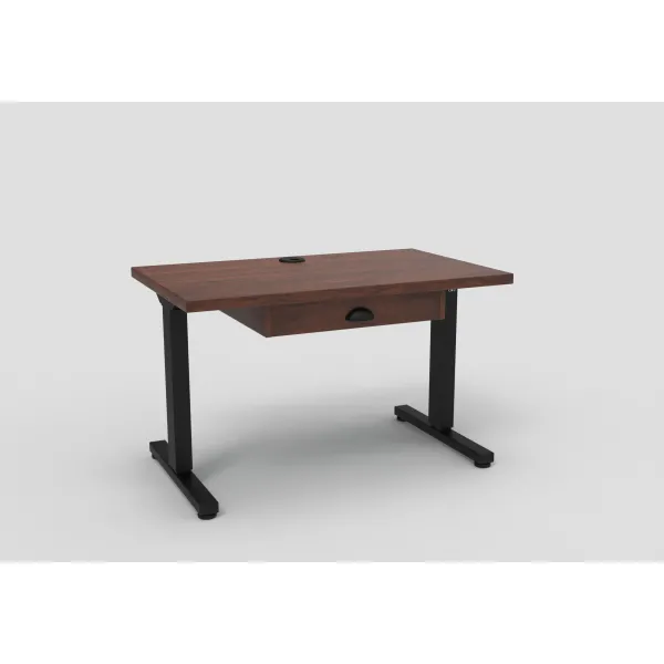 Amish Handmade Alexis Sit Stand Lift Desk 