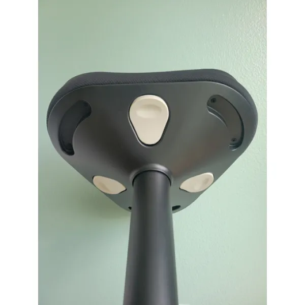 Black Ergo Wooble Stool