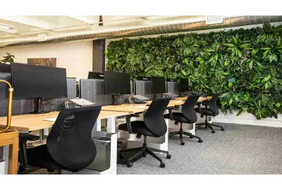 Why Ergonomic Certification Matters When Buying Office Furniture