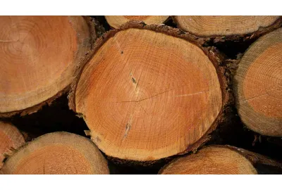 Janka Hardness Rating Chart for Hardwoods and What It Means for Your Desk