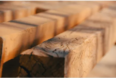 Types of Timber for Construction and Their Best Uses Explained